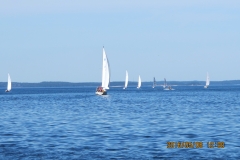 IMG_5991
