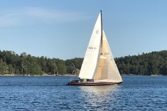 Carrera