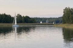 IMG_7504