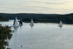 1_image1