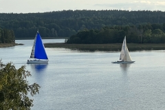image6